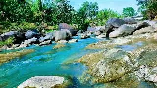 Thumbnail: Serene River Sounds | Natural Water Ambience for Calm Mind and Deep Sleep