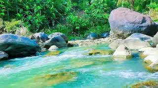 Thumbnail: Flowing River Sounds for Deep Sleep and Stress Relief – 8 Hour Nature Ambience