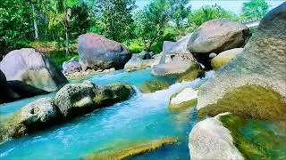 Thumbnail: Soothing River Sounds for Sleep – Relaxing Water White Noise 8 Hours