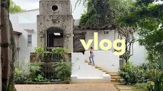 Thumbnail: Business Diaries: microneedling at Let's Glow, Pinto Art Museum, Airbnb Owner Diaries