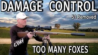 Thumbnail: DAMAGE CONTROL ▪︎ TOO MANY FOXES