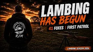 Thumbnail: Lambing Season Begins | 41 Foxes in Two Nights