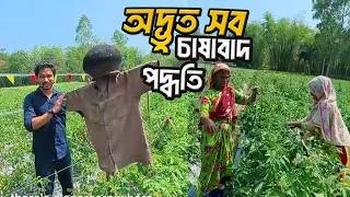 Thumbnail: দেশীয় কৃষির অবাক করা সব চাষাবাদ উদ্যোগ! | Amazing Farming Initiatives in Rural Bangladesh