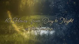 Thumbnail: 🎧 From Day to Night at the Swamp with Birds, Crickets, Grasshoppers and Frogs Singing - 10 Hours