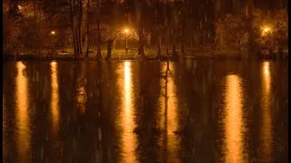 Thumbnail: Relaxing Sounds of Rain Near the Lake in the Quiet Park at Night - 10 Hours for Relaxation and Sleep