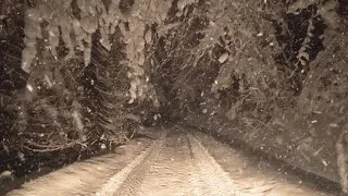 Thumbnail: Relaxing Night on a Forest Road in the Mountains with Snow Falling & Wind Blowing Through the Trees