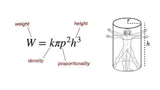 Thumbnail: Statistical Rethinking Lecture B09 - Generalized Linear Madness