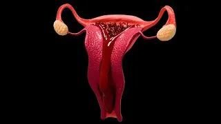 Thumbnail: Menstrual Cycle Animation Video | Periods for Girls