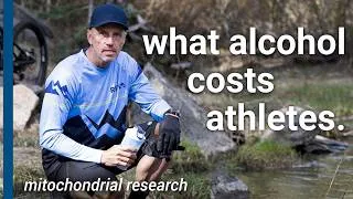 Thumbnail: the metabolic reserve: what alcohol costs athletes over 50