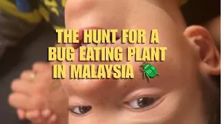 Thumbnail: Homeschooling Day With My AuDHD Son - Hunting Carnivorous Plants in Malaysia