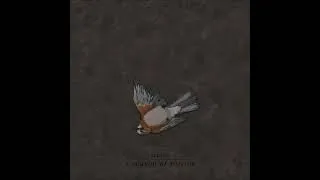 Thumbnail: CROSTA - A Season Of Sorrow [FULL ALBUM] 2026   **including lyrics**