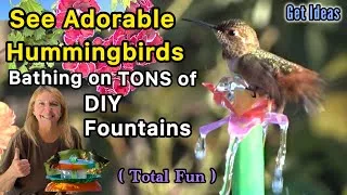 Thumbnail: Hummingbirds Bathing on Beautiful Birdbath Water Fountains, Wild Birds Birding & Hummingbird Feeder