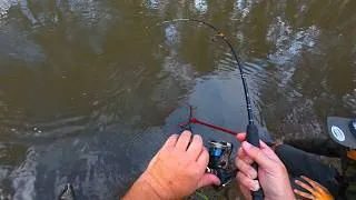 Thumbnail: Late Arvo Winter Bait Fishing Session
