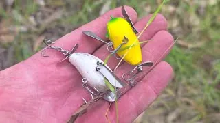 Thumbnail: Finding Tiny Surface Lures While Yellowbelly Fishing 