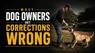 Thumbnail: Proper Corrections in Dog Training