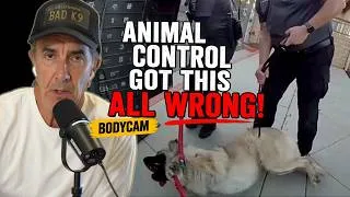 Thumbnail: Animal Control Got This ALL WRONG - Bodycam Footage Shows the Mistake made with the Catchpole