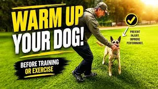 Thumbnail: 5 Minutes That Could Help Prevent Injury in Your Dog
