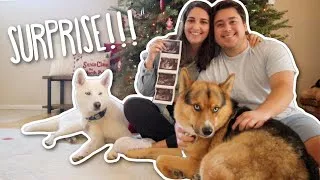 Thumbnail: I'M PREGNANT!!!