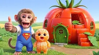 Thumbnail: Monyet Mono Imut Berhasil Membangun Rumah Indah dari Tomat Raksasa dan Mengundang Bayi Jeruk Bermain