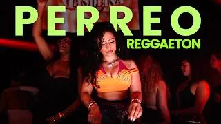 Thumbnail: REGGAETON & PERREO PARTY MIX | DON OMAR, DADDY YANKEE, BAD BUNNY