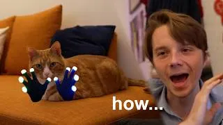 Thumbnail: my cat taught himself how to glove