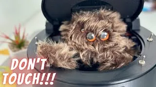 Thumbnail: Beware !!! FURRY MONSTER INSIDE | Useless box