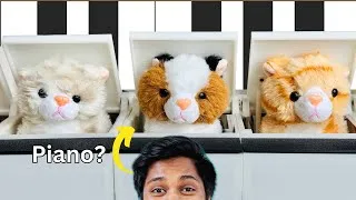 Thumbnail: The Cat Piano.. I built this from SCRATCH !!!