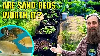 Thumbnail: Do Sand Grow Beds Work in Aquaponics Systems?