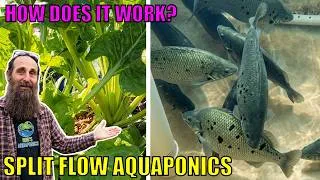 Thumbnail: How Does a Split Flow Aquaponics System Work?