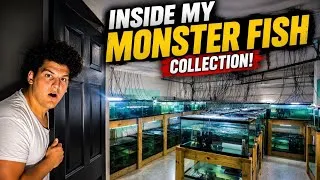 Thumbnail: Inside My ENTIRE Monster Fish Collection!