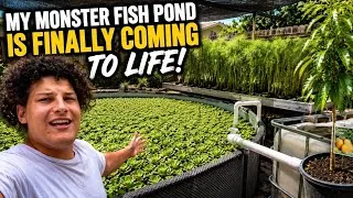 Thumbnail: My Monster Fish Pond Is Finally Coming to Life!