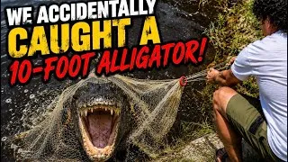 Thumbnail: We Accidentally Caught a 10 FOOT Alligator!