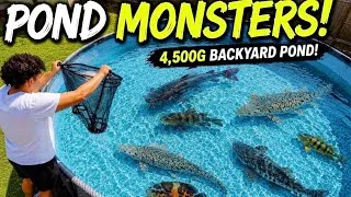 Thumbnail: I Added POND MONSTERS to My 4,500G Backyard Pond!
