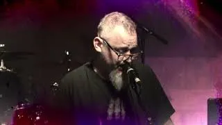 Thumbnail: Robust  - No Love To Regret (Live Video)