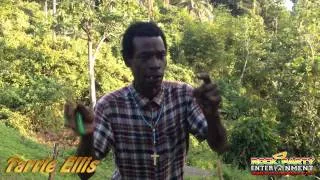 Thumbnail: Tarrie Ellis - Breadfruit
