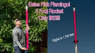 Thumbnail: Launching the NEW Estes Pink Flamingo, A Big Rocket With A Little Price Tag