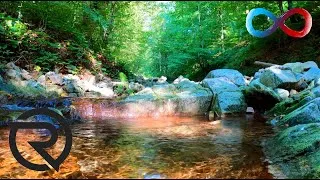 Thumbnail: Relaxing Water Sounds for Sleep or Focus • Peaceful Ambience for Spa, Yoga and Relaxation • HD 1080p