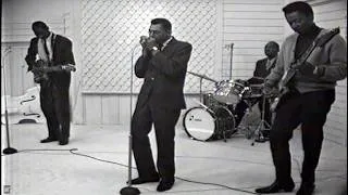 Thumbnail: Hound Dog Taylor and The HouseRockers - Wild About You Baby 1967