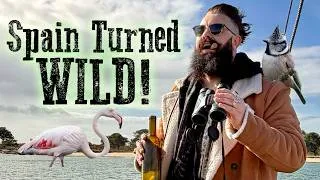 Thumbnail: Storm Chasing Birds on Spain's Wild Coast