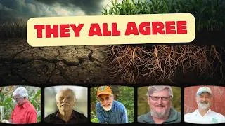 Thumbnail: The Soil Secret Every Farmer Gets Wrong