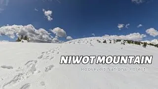 Thumbnail: Niwot Mountain, Roosevelt National Forest. Fresh Snow in the Indian Peaks of Colorado.