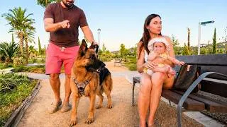 Thumbnail: Will Our German Shepherd Recognize Mom and Baby?