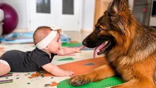 Thumbnail: German Shepherd Is So Gentle with the Baby