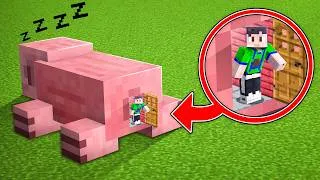 Thumbnail: Minecraft But I Can Go INSIDE Any Mob..!