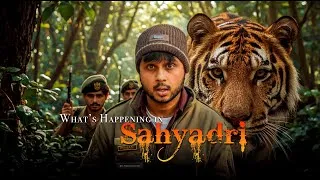 Thumbnail: THE STORY OF SAHYADRI TIGER RESERVE | CHANDA & TARA | EP-1