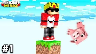 Thumbnail: Minecraft PE Survival Series In One Block 1.22