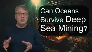 Thumbnail: Can our oceans recover from Deep Sea Mining? - Environmental Considerations