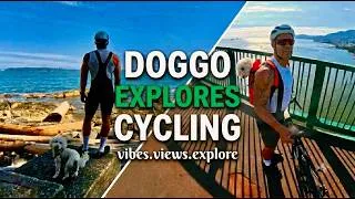 Thumbnail: My Dog's First Road Cycling Adventure