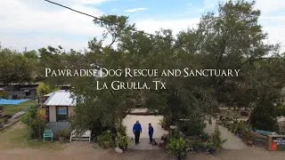 Thumbnail: Pawradise Dog Rescue Sanctuary Needs Your Help