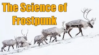 Thumbnail: How could animals survive in Frostpunk?